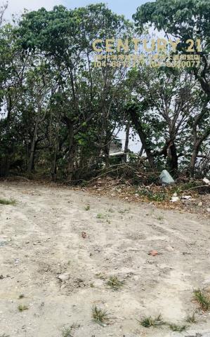 彰化芳苑建地-2