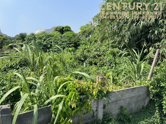竹塘建地-0