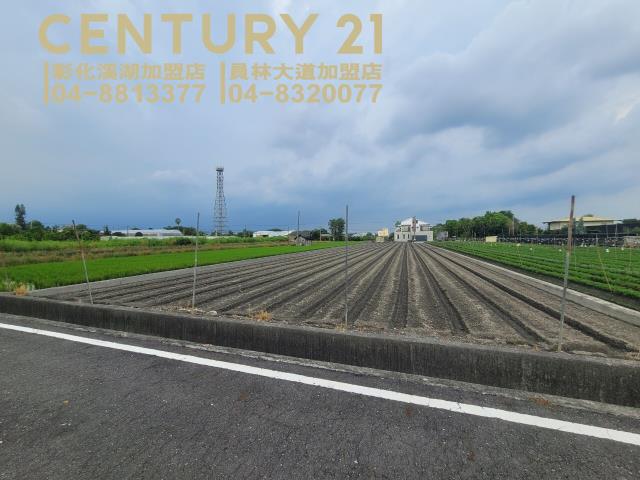 田尾農地-2