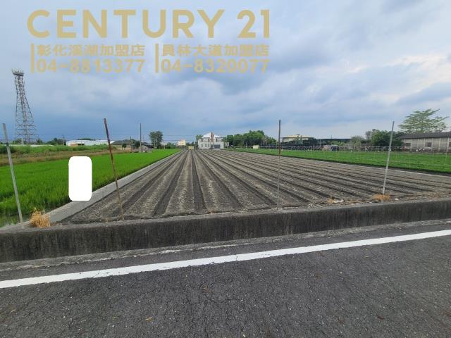 田尾農地-3