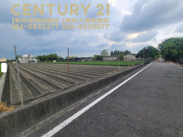 田尾農地-4