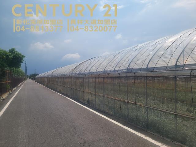 田尾農地-2