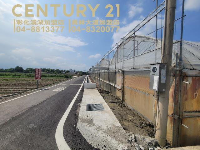 田尾農地-6
