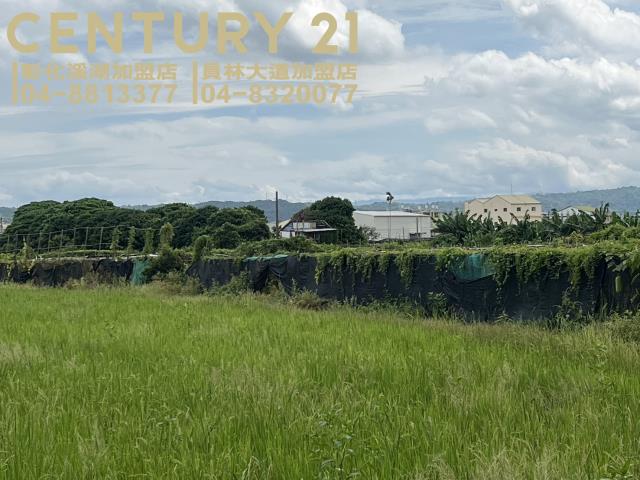 大村農地-1