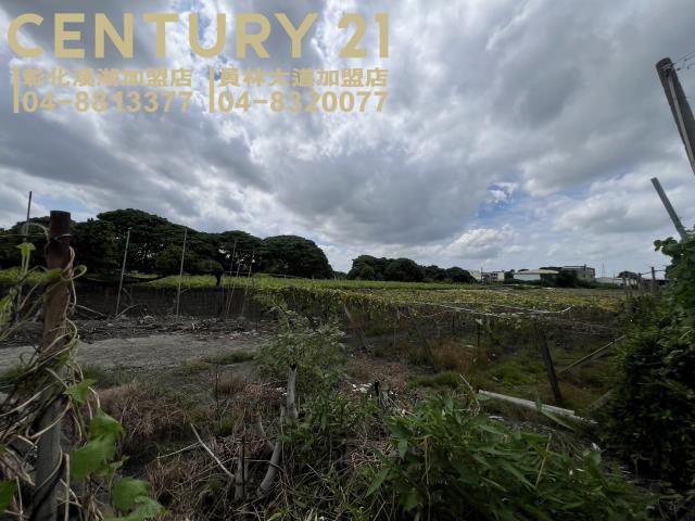 大村農地-2
