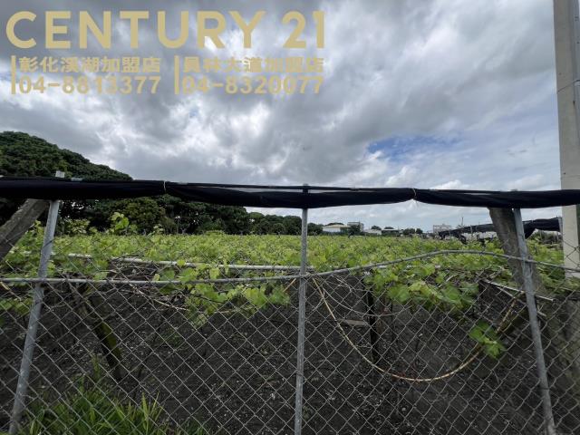 大村農地-4
