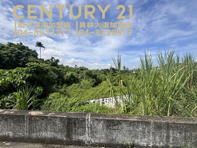 員林農地-1