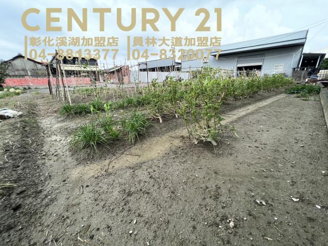 埔鹽農地-3