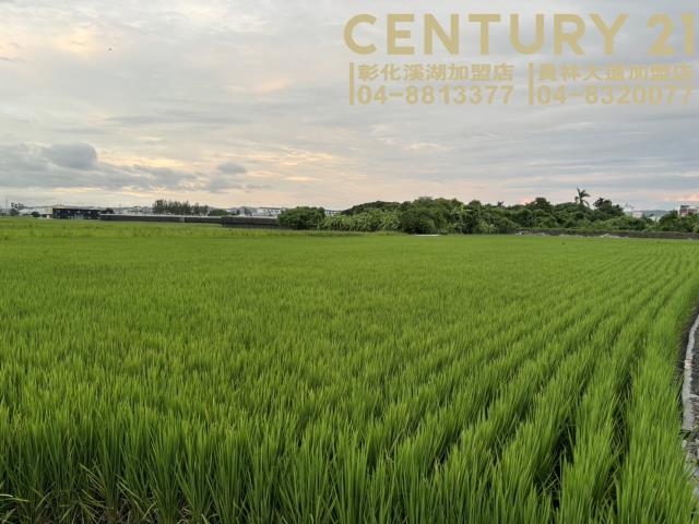 彰化大村農地-0