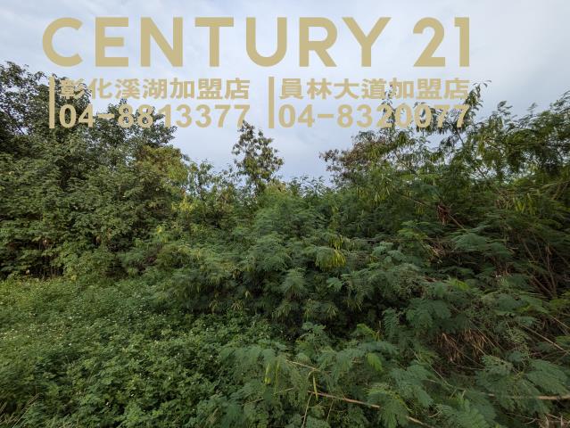 田中建地-0