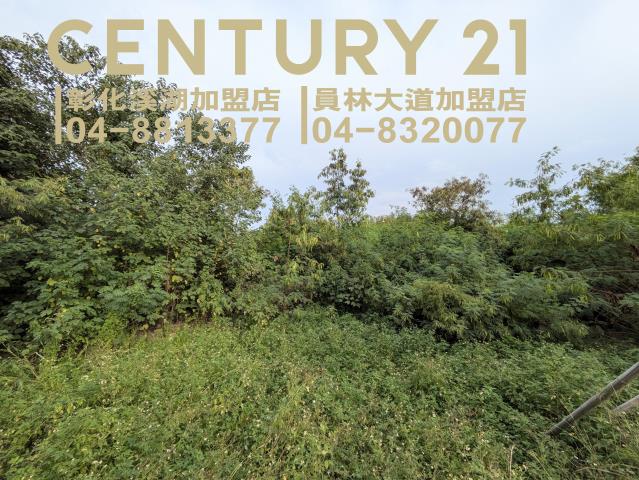 田中建地-3