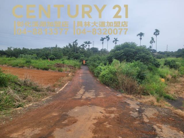 芬園農地-7