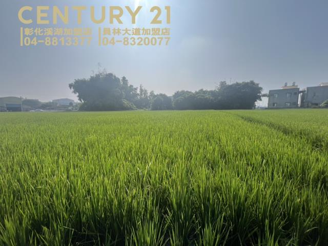 竹塘農地-3