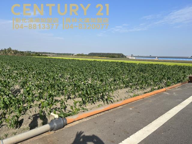 雲林土庫農地-0