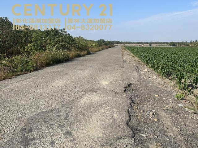 雲林土庫農地-2