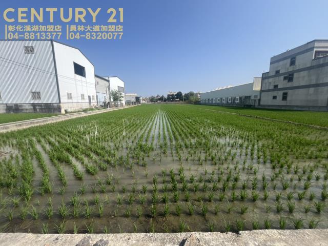 彰化埔鹽農地-1