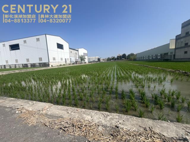 彰化埔鹽農地-2