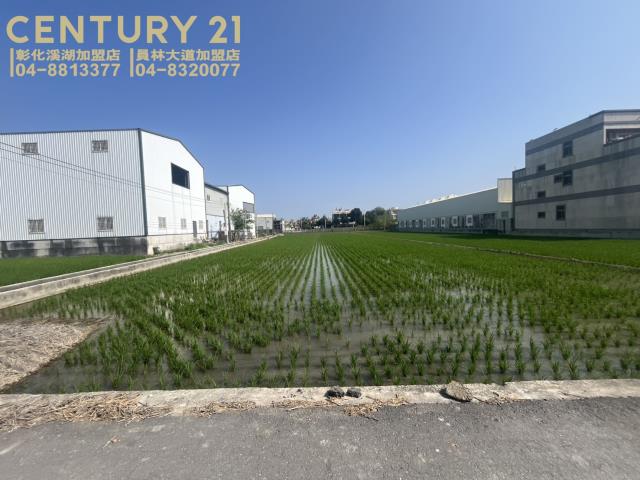 彰化埔鹽農地-3