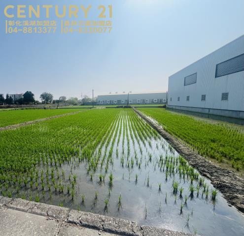 彰化埔鹽農地-0