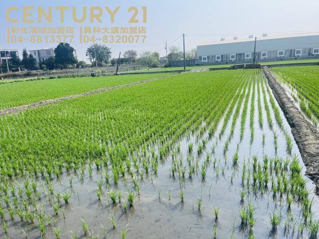 彰化埔鹽農地-3