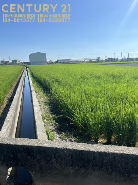 竹塘農地-0