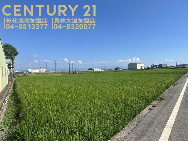 竹塘農地-5