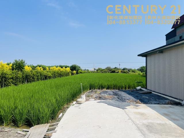彰化田尾農地-2