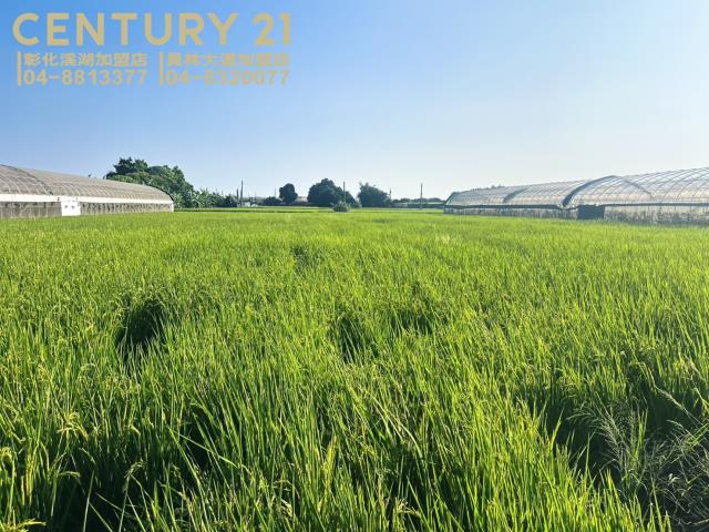 溪湖農地-3
